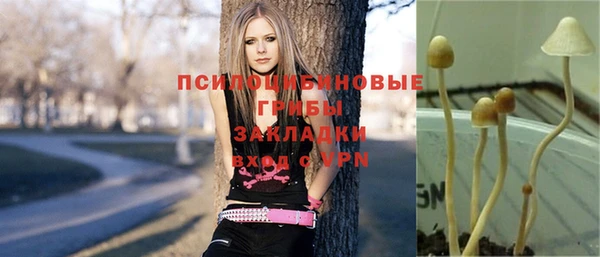 дмт Бронницы