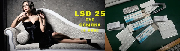 экстази Бородино