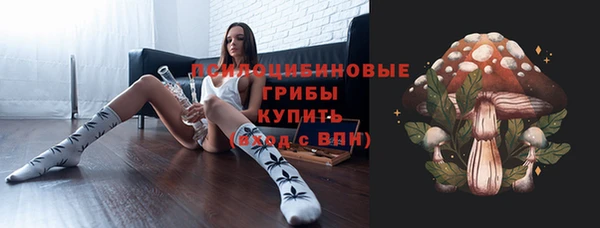 экстази Бородино