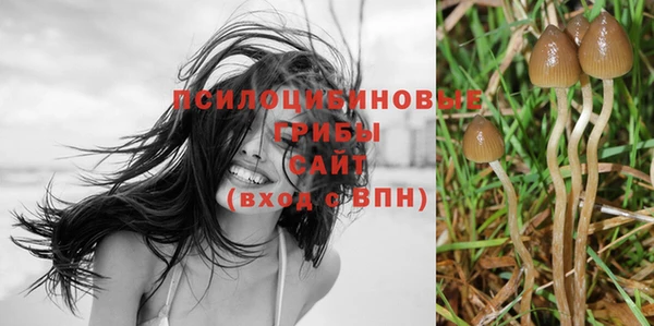 сатива Волоколамск