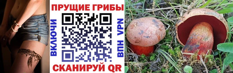 hydra   Малмыж  Галлюциногенные грибы MAGIC MUSHROOMS 
